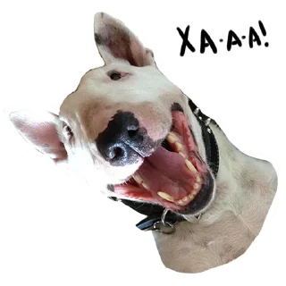 😆 emoji Doggo Telegram sticker 23 of 32