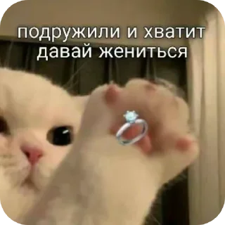 🐱 emoji meme Telegram sticker 15 of 19