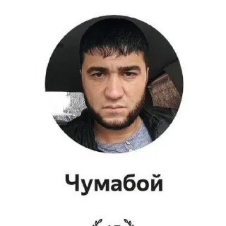 💇 emoji Проект разгром Telegram sticker 12 of 65