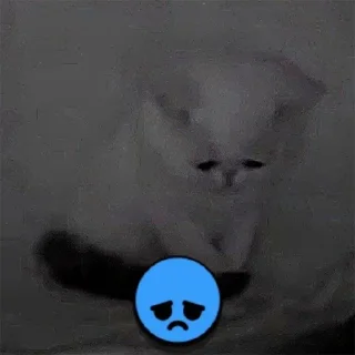 😞 emoji Brawl cats Telegram sticker 8 of 19
