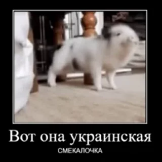 🇺🇦 emoji Сало by Саныч Telegram sticker 5 of 14