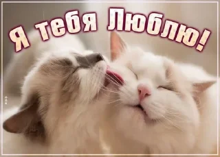 🌟 emoji Любовь Telegram sticker 6 of 17