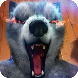 🐺 emoji Itssksuuuu👍🏻👍🏻 Telegram sticker 13 of 16