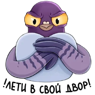 😠 emoji Голубь Telegram sticker 10 of 26