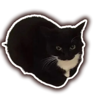 ☮️ emoji Добри Шлёпка Telegram sticker 11 of 11