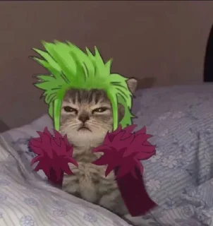 💚 emoji Фанатик Луффи Telegram sticker 21 of 31