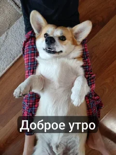 😝 emoji Пак Вантуза или типо того Telegram sticker 14 of 35