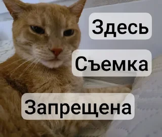 😏 emoji Пак Вантуза или типо того Telegram sticker 7 of 35