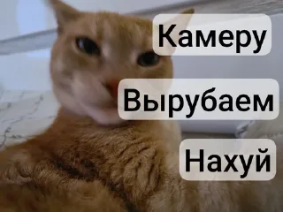 🥳 emoji Пак Вантуза или типо того Telegram sticker 8 of 35