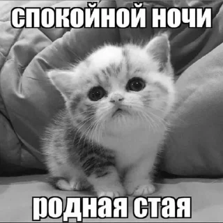 Sticker from пиздццц