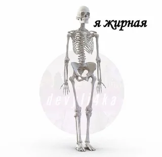 Sticker from 💋РППШЕЧКА💋