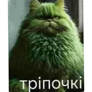 🐱 emoji Кiтiкi Telegram sticker 23 of 27
