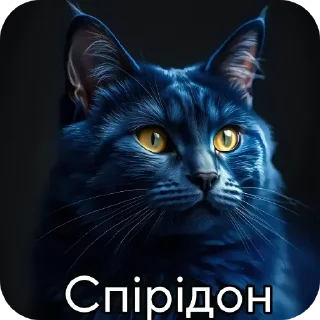 🐱 emoji Кiтiкi Telegram sticker 22 of 27