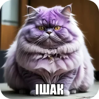 🐱 emoji Кiтiкi Telegram sticker 8 of 27