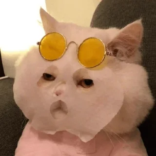 🤓 emoji охуенный пэк Telegram sticker 16 of 100