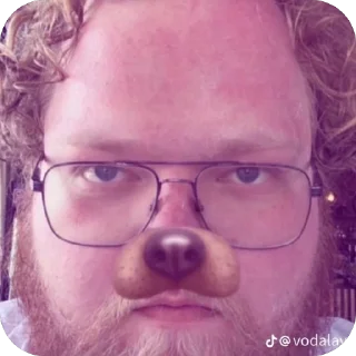 🐶 emoji Пикми Telegram sticker 9 of 44