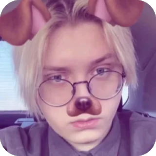 🐶 emoji Пикми Telegram sticker 13 of 44