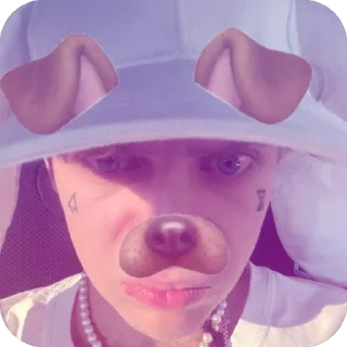 🐶 emoji Пикми Telegram sticker 18 of 44