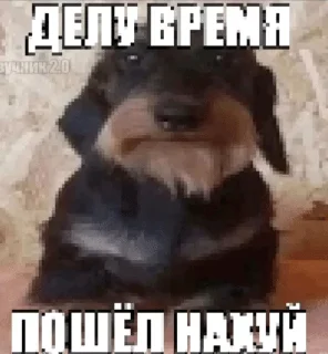 🌟 emoji По рофлу Telegram sticker 21 of 66