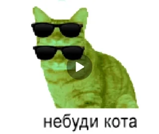 😎 emoji cat Telegram sticker 14 of 42