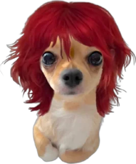 🌟 emoji бэлла хадид Telegram sticker 24 of 24