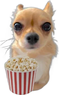 🌟 emoji бэлла хадид Telegram sticker 19 of 24