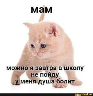 😭 emoji для важных разговоров Telegram sticker 18 of 19