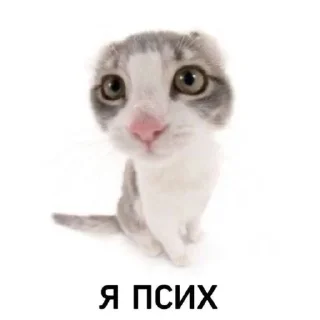 😝 emoji мили котики и пёсики Telegram sticker 13 of 22