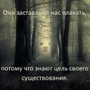 😼 emoji ТрαнсцεнΔен†αłьный кøт feat. knife.media Telegram sticker 8 of 17