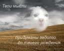 😼 emoji ТрαнсцεнΔен†αłьный кøт feat. knife.media Telegram sticker 9 of 17