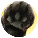 Sticker from Nice Cats @StikeryTG