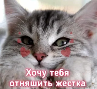 🥰 emoji весна by @vesnap Telegram sticker 8 of 50