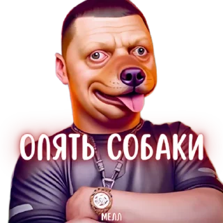 🐶 emoji Mellstroy Стикеры Telegram sticker 19 of 65