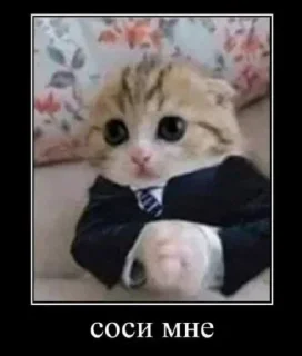 😐 emoji раскромсай мне лицо Telegram sticker 15 of 95