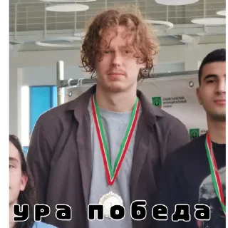 🥳 emoji Хорошо Telegram sticker 7 of 40