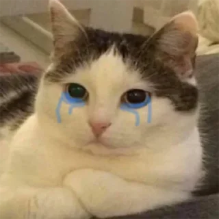 😢 emoji Булка хлеба 👉 @TopStickerTop Telegram sticker 5 of 87