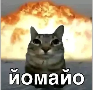 🤯 emoji лабубу Telegram sticker 16 of 120