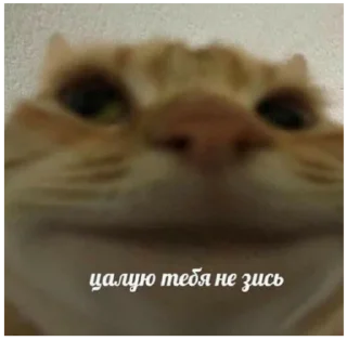 👺 emoji стики от @top_valya03 Telegram sticker 17 of 82