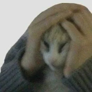 😤 emoji пилочка Telegram sticker 8 of 119