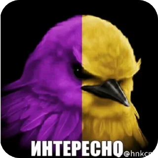 🐦 emoji Птицефабрика Telegram sticker 8 of 81