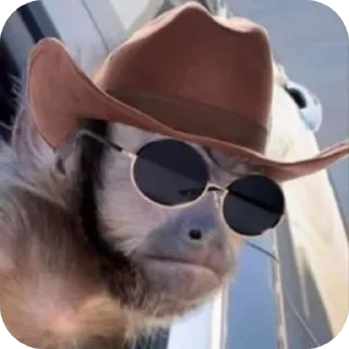 😎 emoji Слейні монкіс 💅🏻🙄 Telegram sticker 24 of 96