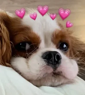 🌟 emoji Чел Telegram sticker 6 of 38
