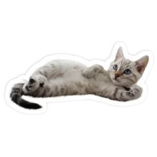 👍 emoji Данон Telegram sticker 8 of 95