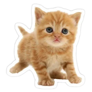 👍 emoji Данон Telegram sticker 16 of 95