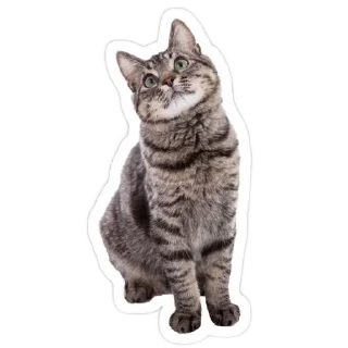 👍 emoji Данон Telegram sticker 7 of 95