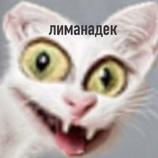 😁 emoji КУШОЦ))0 Telegram sticker 7 of 13