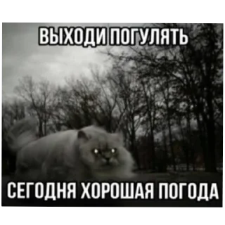✨ emoji Кидс Telegram sticker 22 of 48
