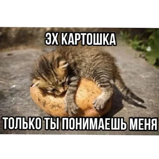 😞 emoji Кидс Telegram sticker 23 of 48