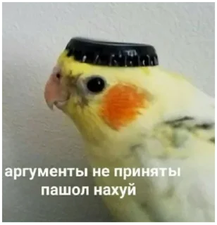 🤌 emoji Стикерпак нытика с большим сердцем Telegram sticker 23 of 79