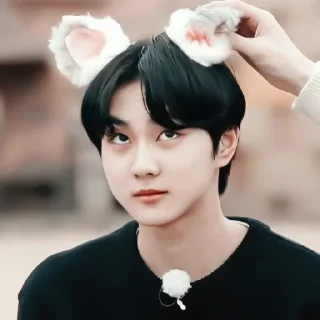 Sticker from #jungwon meme «📻 by @lumicore_present